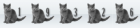 compteur de site